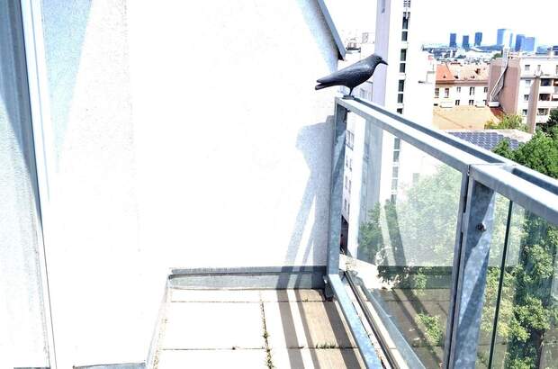 Wohnung mit Balkon mieten in 1100 Wien (Bild 3)