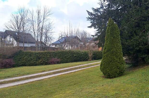 Haus kaufen in 4853 Steinbach (Bild 5)