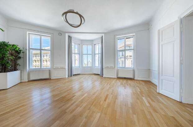 Gewerbeobjekt mieten in 1010 Wien (Bild 1)