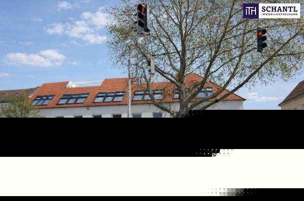 Wohnung kaufen in 2514 Traiskirchen (Bild 2)