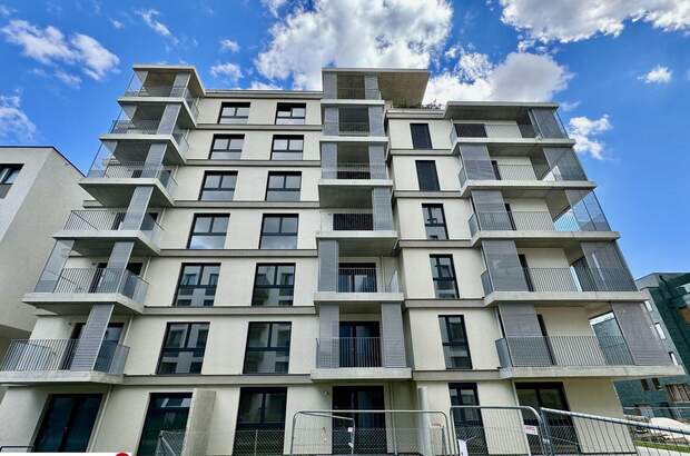 Wohnung kaufen in 1100 Wien (Bild 1)