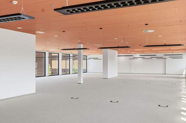 Gewerbeobjekt mieten in 6922 Wolfurt (Bild 1)
