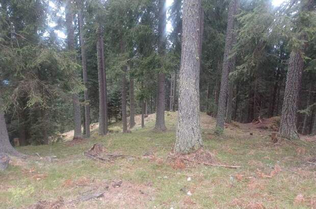 Gewerbeobjekt kaufen in 9542 Verditz (Bild 3)