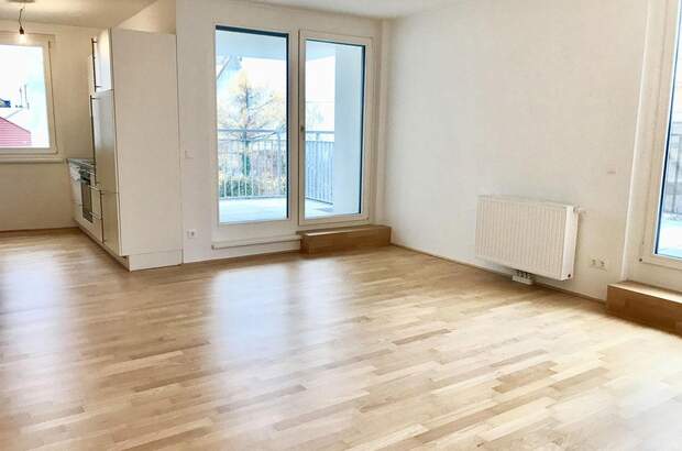 Terrassenwohnung mieten in 1230 Wien (Bild 5)