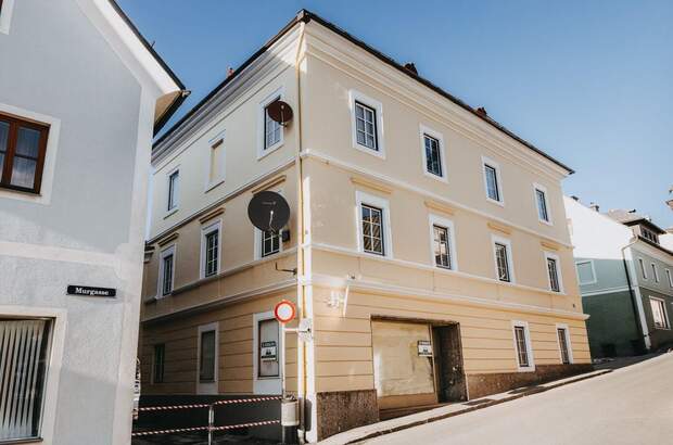 Anlageobjekt kaufen in 5580 Tamsweg (Bild 3)