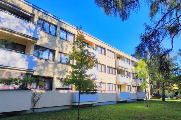 Terrassenwohnung kaufen in 1230 Wien (Bild 1)