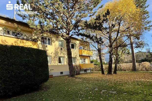 Terrassenwohnung kaufen in 1230 Wien (Bild 1)