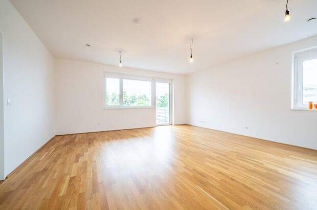 Terrassenwohnung kaufen in 3250 Wieselburg (Bild 5)