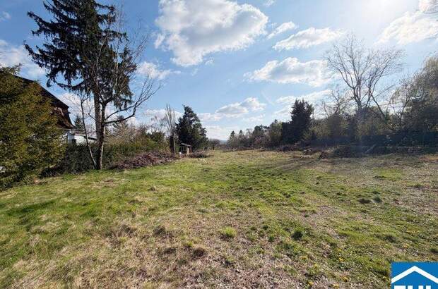 Grundstück kaufen in 1230 Wien (Bild 3)