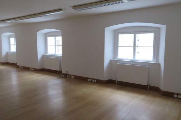Gewerbeobjekt mieten in 1010 Wien (Bild 2)