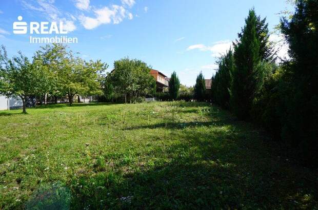 Grundstück kaufen in 2020 Magersdorf (Bild 2)