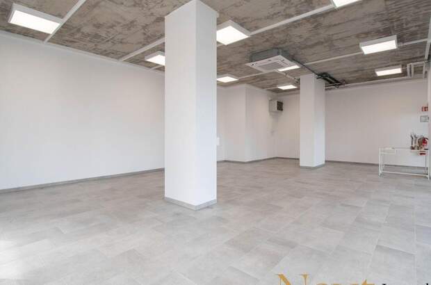 Gewerbeobjekt mieten in 4050 Traun (Bild 2)