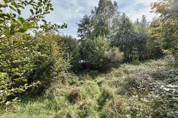 Grundstück kaufen in 3031 Pressbaum (Bild 3)