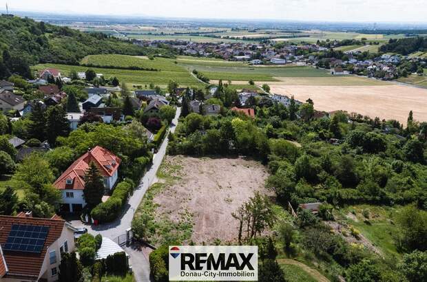 Grundstück kaufen in 2102 Hagenbrunn (Bild 1)