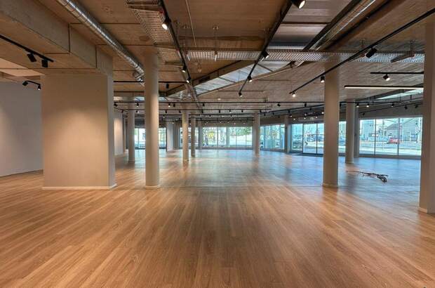 Gewerbeobjekt mieten in 2351 Wiener Neudorf (Bild 4)