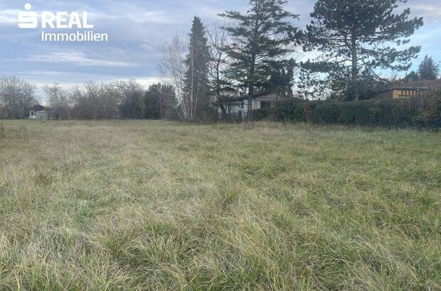 Grundstück kaufen in 7161 St. Andrä (Bild 5)