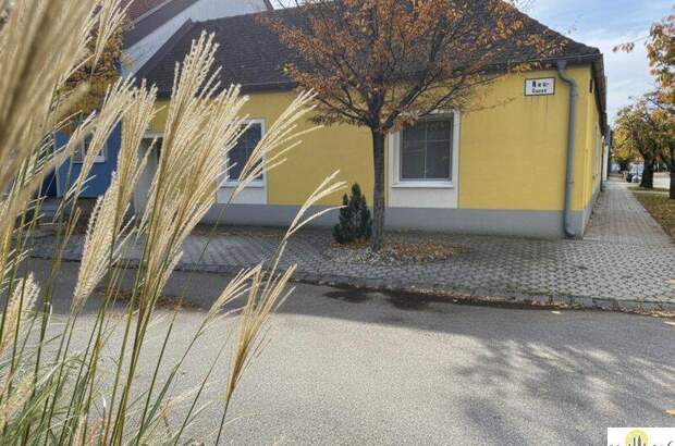 Haus kaufen in 7131 Halbturn (Bild 1)