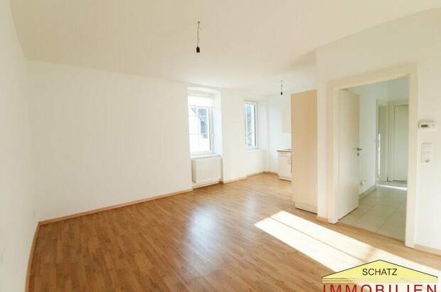 Wohnung mieten in 2565 Neuhaus (Bild 1)