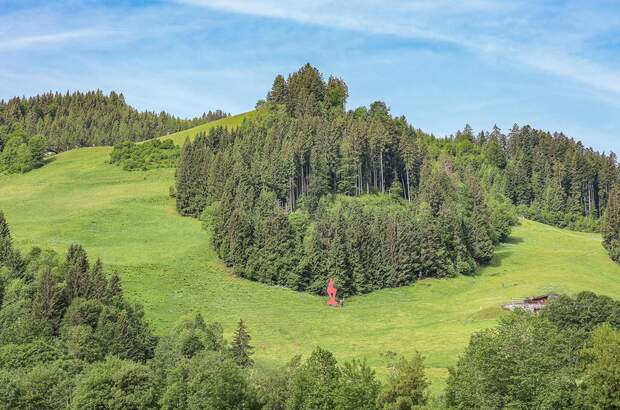 Terrassenwohnung kaufen in 6370 Kitzbühel (Bild 1)