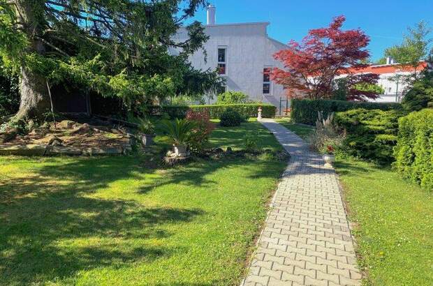 Mehrfamilienhaus kaufen in 2460 Bruckneudorf (Bild 3)