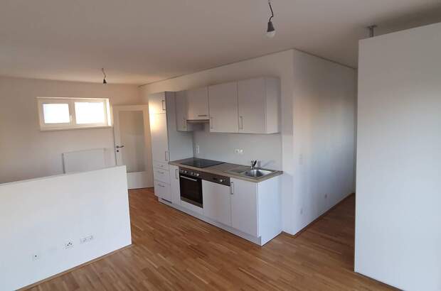 Terrassenwohnung mieten in 8053 Graz (Bild 3)