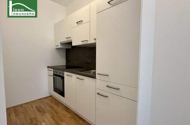 Terrassenwohnung mieten in 1220 Wien (Bild 4)