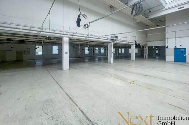 Lager mieten in 4052 Ansfelden (Bild 3)