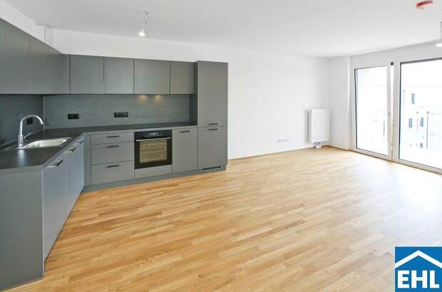 Terrassenwohnung mieten in 1220 Wien (Bild 2)