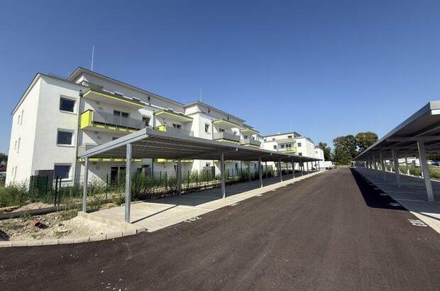 Terrassenwohnung kaufen in 2442 Unterwaltersdorf (Bild 4)