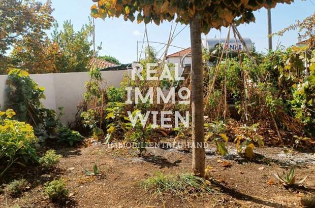 Haus kaufen in 2423 Lavkos (Bild 4)