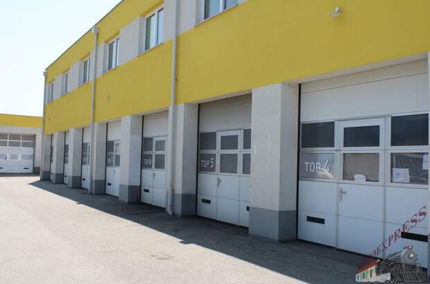 Halle / Lager / Produktion mieten in 2401 Fischamend (Bild 1)
