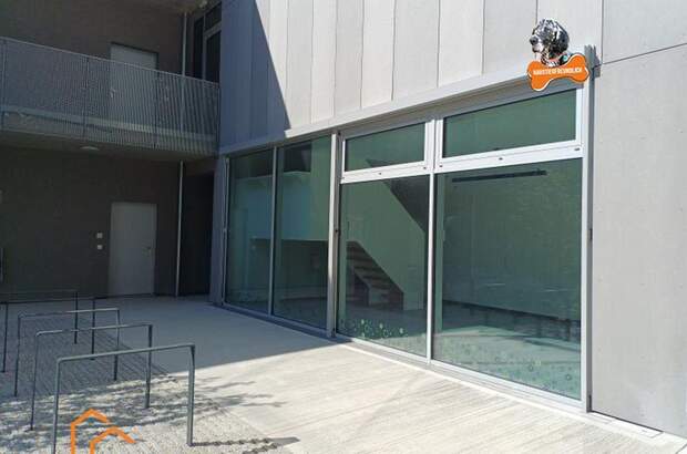 Gewerbeobjekt mieten in 1220 Wien 22. (Bild 2)