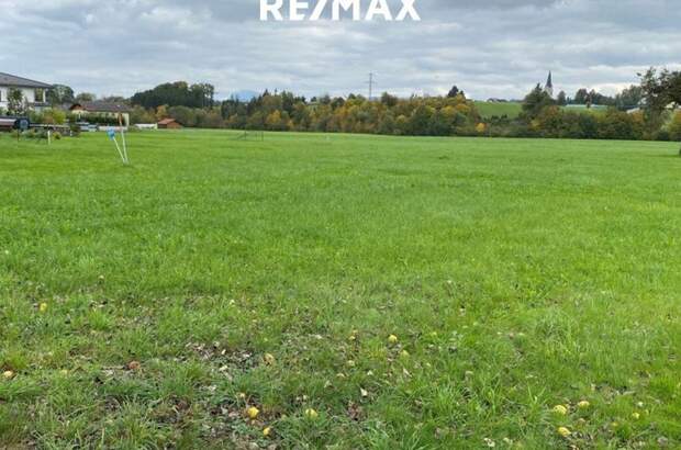 Grundstück kaufen in 4851 Gampern (Bild 1)