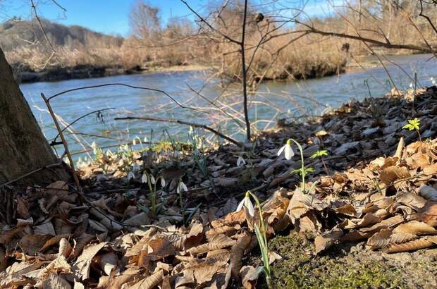 Grundstück kaufen in 8435 Wagna (Bild 2)