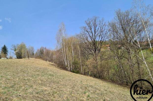 Grundstück kaufen in 8524 Deutschlandsberg (Bild 2)