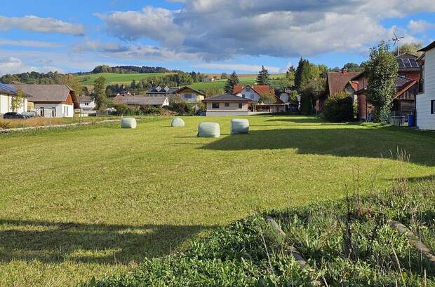 Grundstück kaufen in 4542 Nußbach (Bild 1)
