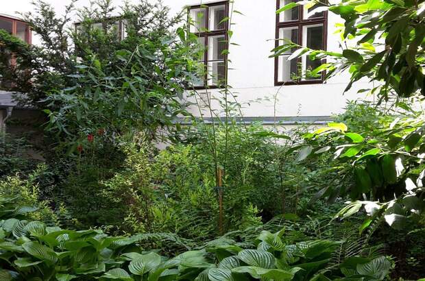Altbauwohnung kaufen in 1060 Wien (Bild 5)