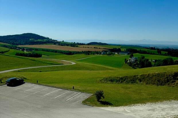 Gewerbeobjekt mieten in 4201 Gramastetten (Bild 3)