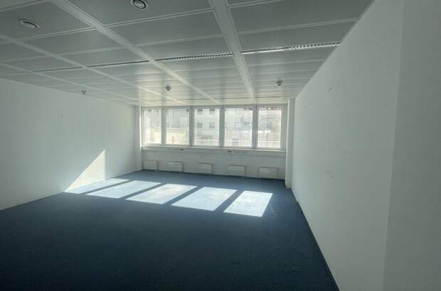 Gewerbeobjekt mieten in 1020 Wien (Bild 5)