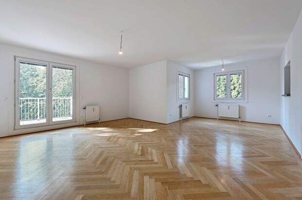 Terrassenwohnung kaufen in 1190 Wien (Bild 2)