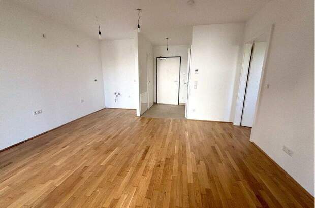 Terrassenwohnung kaufen in 1210 Wien (Bild 4)