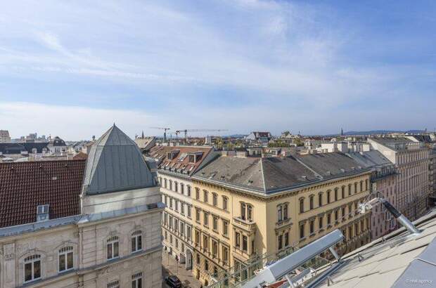 Terrassenwohnung kaufen in 1070 Wien (Bild 3)