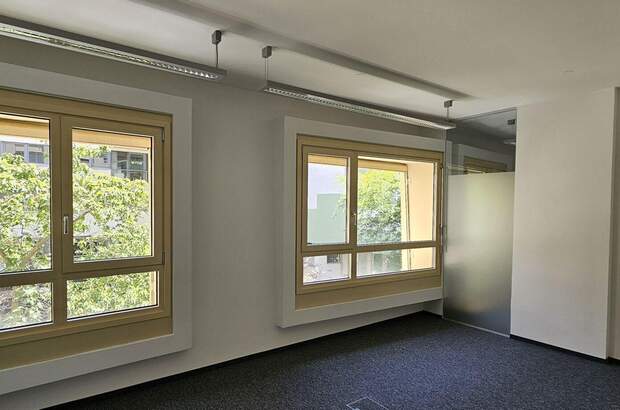 Gewerbeobjekt mieten in 1200 Wien (Bild 5)