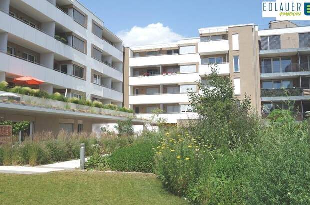 Terrassenwohnung mieten in 3100 St. Pölten (Bild 1)