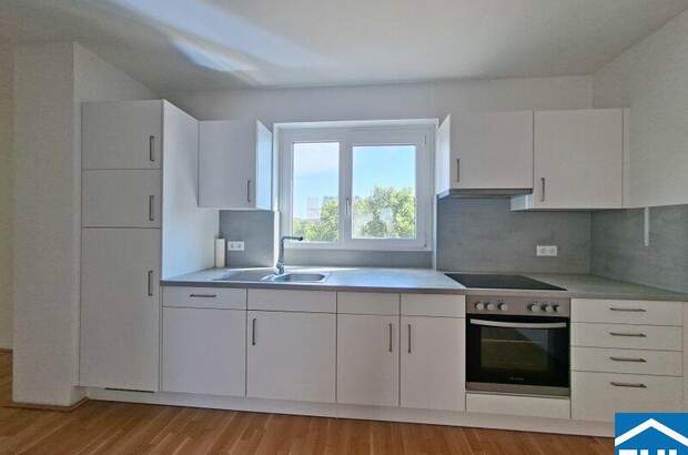 Terrassenwohnung mieten in 1020 Wien (Bild 3)