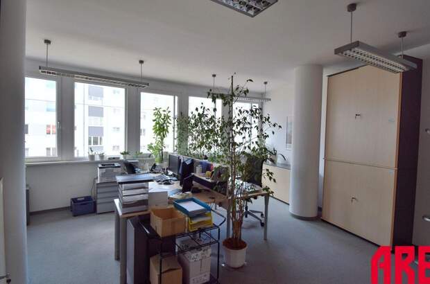 Gewerbeobjekt mieten in 4040 Linz (Bild 2)