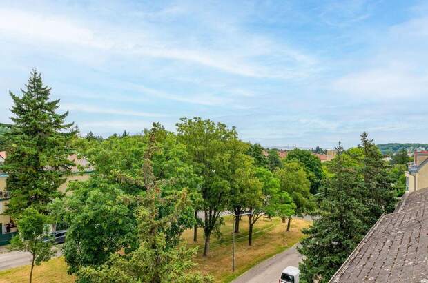 Altbauwohnung kaufen in 1130 Wien (Bild 2)