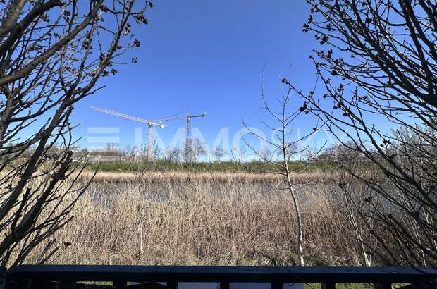 Grundstück kaufen in 1220 Wien (Bild 1)