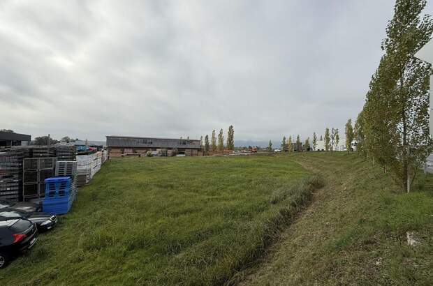 Gewerbeobjekt kaufen in 6971 Hard (Bild 1)