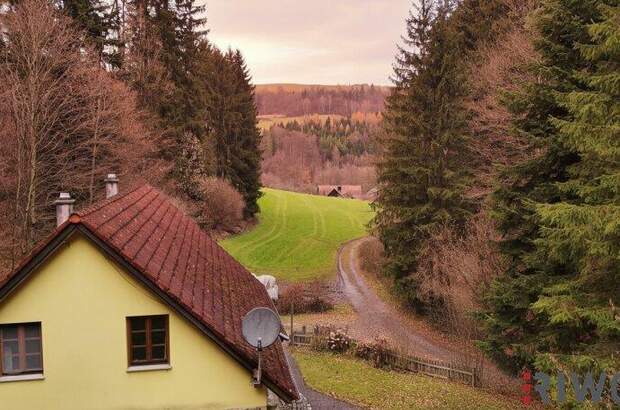 Einfamilienhaus kaufen in 2831 Warth (Bild 5)
